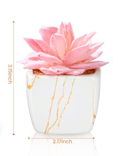 Taybonds Artificial Succulent in 2PCS White Ceramic Pot, Small Fake Succulents Plants for Office and Desk Decor,Bathroom, Bedroom, Shelves, Vanity for Women - color: White