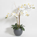 CG Hunter Faux White Orchid Plant, Premium Artificial Indoor Flower Display Stands 25-Inches with Beautiful Sculptural Blooms and Foliage That Lasts Forever, Grey Planter Pot Included - size: 25" White Double Stem