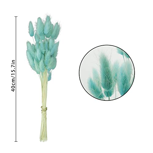 Uieke 50 Pcs Bunny Tails Dried Flowers, 17’’ Dried Lagurus Ovatus, Dried Foxtail Grass for Flower Arrangements Wedding Centerpieces Home Boho Baby Shower Party Decorations (Teal Blue) - color: Teal Blue-50pcs