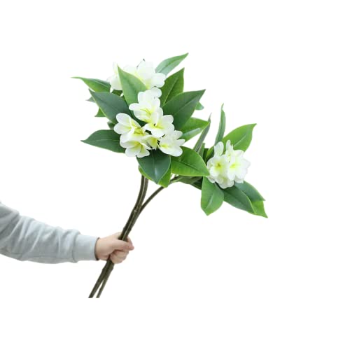 XIYUAN 35.5 Inch Artificial Flowers Artificial Frangipani Flower 2 Stems Lifelike Real Touch Artificial Plumeria Flowers for Home Party Wedding Bouquet Home Decoration (White) - color: White
