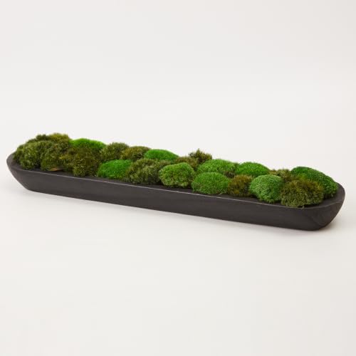 2 Color Mix Pack Preserved Pole Moss Pillow Bun Cushion Natural Decorative Green DIY Kit Art Wall Decor Florist Decor Easter Table Decor Wedding(1.5 sq.ft, Green-A,Green-B) - color: Color Mix-green-(a+b), size: 1.5 sq.ft.