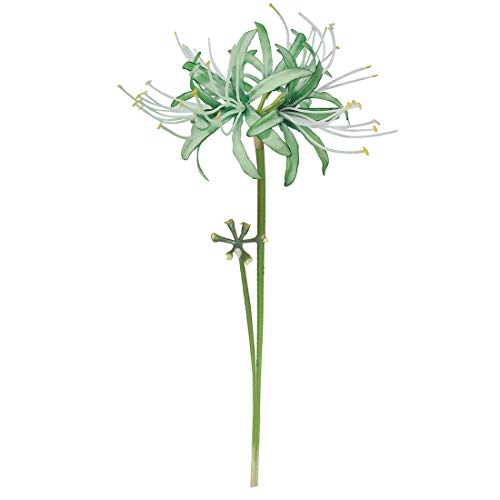 6 Stems 26.38 Inch Artificial Lycoris Radiata Spider Lily Flowers for Home Garden Decoration (Green) - color: Green