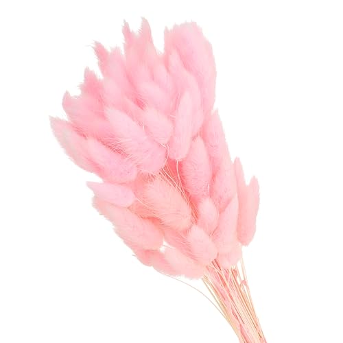 PATIKIL 15.7in Bunny Tails Dried Flowers, 80pcs Pampas Grass Decor Rabbit Tail Natural Pampas Grass Bulk Fluffy Faux Pampas Grass Dried for Home Boho Decor Vase Wedding Table, Pink - color: Pink