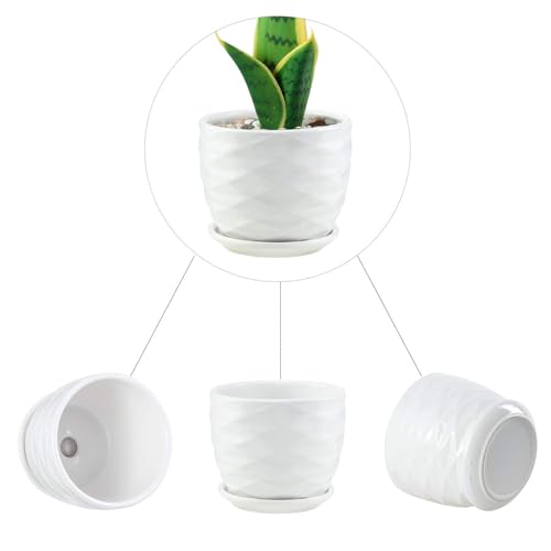 sietpoek Plant Pots - 4.7 Inch Cylinder Ceramic Planters with Connected Saucer, Pots for Succuelnt and Little Snake Plants, Set of 4, White - size: 4.7 Inch