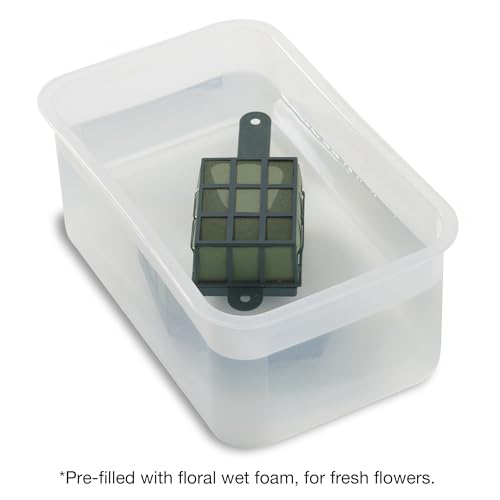 FloraCraft Floral Cage Arranger with Floral WetFōM 3.25 Inch x 3.75 Inch x 4.6 Inch Green - size: 4.625 x 3.75 x 3.25"