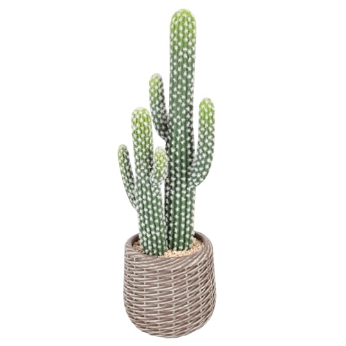 26 Inch Artificial Cactus Plant Indoor, Realistic Faux Cactus Plant with Plastic Woven Planter，Lifelike Fake Cacti for Home Office Garden Store Patio Decor. - size: 26 Inch