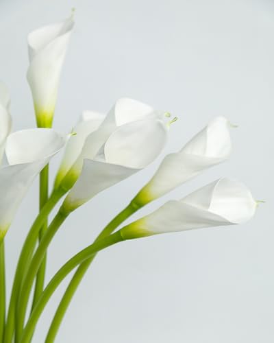 DuHouse 12pcs Calla Lily Artificial Flowers,26" Long Stem Large Calla Lily Flowers,Real Touch Calla Lilies for Party Wedding Bridal Bouquet Home Decor Centerpiece(Vase Not Included) - color: White