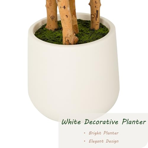 Bellacat 6ft Artificial Ficus Tree with White Decorative Planter & Multiple Real Wood Trunks, 72in Fake Ficus Tree with Lifelike Leaves, Faux Ficus Tree for Living Room Bedroom Office Decor - color: White Decorative Planter, size: 6ft
