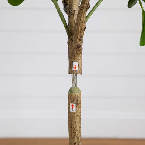 Nearly Natural 5ft. Artificial Audrey Ficus Tree - size: 5ft