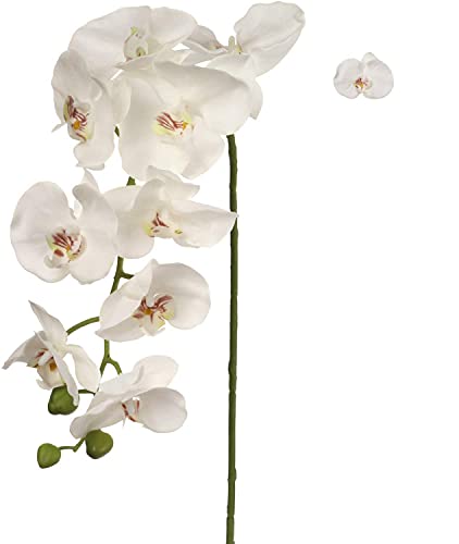 Larksilk White Phalaenopsis Orchid Stems, Real Touch Latex 49 Inches | Real-touch latex phalaenopsis orchid stems, faux silk orchid branch for tall vase, wedding centerpiece & home decor - color: White, size: Stem - 1 Pack