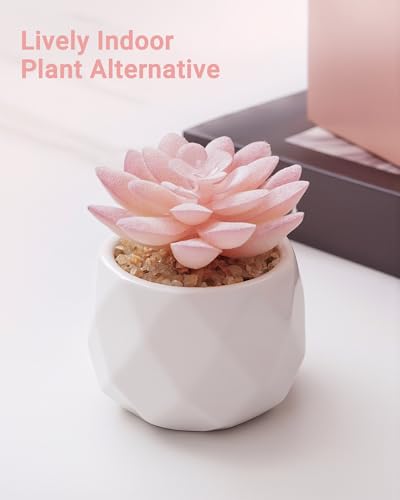VIVERIE Mini Succulents Plants Artificial in Pots-Rose Pink, Christmas Small Fake Succulents Plants for Home Decor Indoor for Women, White Ceramic Faux Succulents, Set of 1, Gifts for Mom - color: Pink-1 Pack