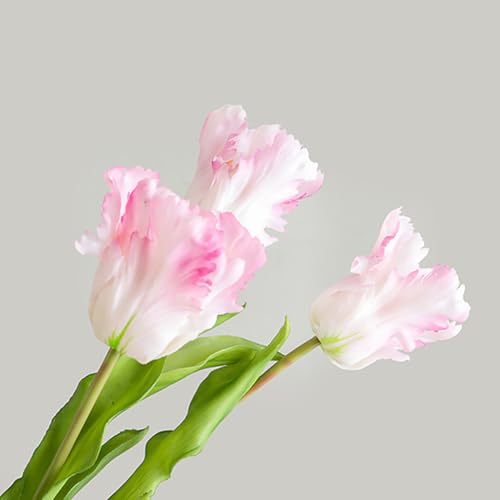 3PCS Artificial Parrot Tulips Made of Silk Flowers and Plastic Rods, Ideal for Living Room, Dining Room, Office, Festival and Party Decorations (Light Pink) - color: Light Pink