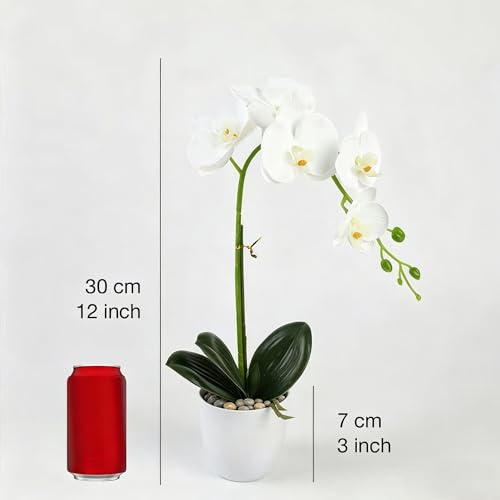 Artificial Orchid Plant with Pot, Realistic Faux Phalaenopsis Orchid with Moss, Lightweight Desktop Decor for Home and Office (Decorative River Pebble Base) - color: Decorative River Pebble Base