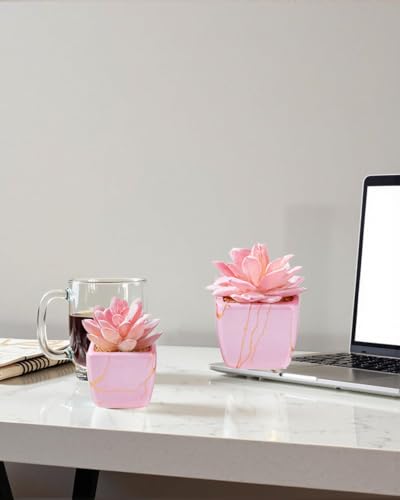 Taybonds Artificial Succulent in 2PCS Pink Ceramic Pot, Small Fake Succulents Plants for Office and Desk Decor,Bathroom - color: Pink