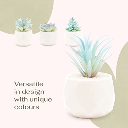 VIVERIE Mini Blue Artificial Succulent in Pots (White Ceramic, 4 Pot Set) Fake Plants for Indoors, Office Decor Gift for Women, Office Home Decor Gifts, Faux Plant for Shelf/Desk/Bathroom Decor - color: Blue