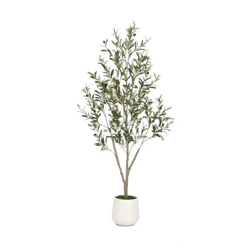 VIVATREES Olive Trees Artificial Indoor, 5FT Tall Faux Olive Tree with White Tall Planter, Artificial Plants with Natural Wood Trunk and Lifelike Fruits for Home Office Decor - color: White-5ft
