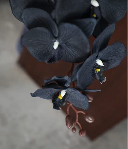Rikyo 8 Heads Faux Black Orchid,40" Bouquets 2 Stem Phalaenopsis No Fade Petals Fake Flowers Forever Plants for Home Decoration, Office Decor,Wedding Party Decoration - color: Black