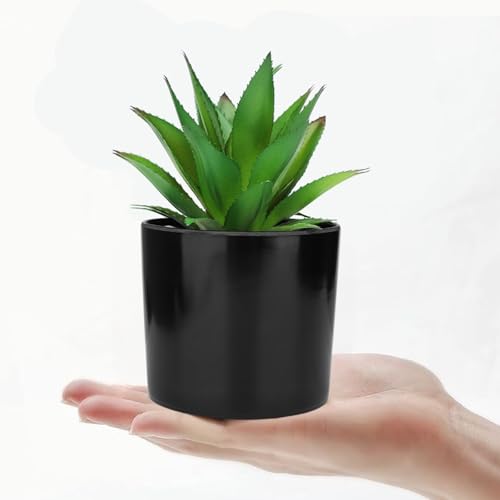 Hopewood Artificial Succulents Faux Potted Plant Decor, Small Fake Plants in Black Pot, Realistic and Lifelike for Book Shelf, Desk Decor, Home Office, Kitchen, or Bathroom Decor - Pack of 3 - color: Faux Plants-black
