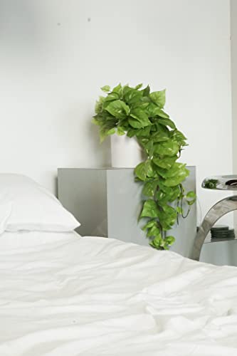 Retrograde 32" Realistic Fake Pothos Ivy Plant for Home Decor Indoor Silk Artificial Plant Large (Light Green) - color: Light Green