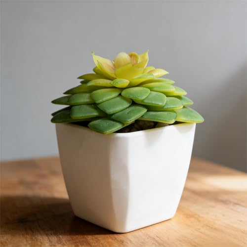 Artificial Succulent Plants in Pot - 1Pcs Small Water Lotus Realistic Fake Potted Succulents for Home Decor, Desk, Office, Bathroom, Windowsill - Indoor Houseplant for Bedroom, Kitchen, Shelf - color: Small Water Lotus
