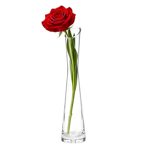 9.8 Inches Clear Glass Tall Bud Vase Single Stem Vases Minimalist Modern Flower Bud-Vase with Round Slanted Mouth for Tabletop Decoration Wedding Centerpiece Ornament