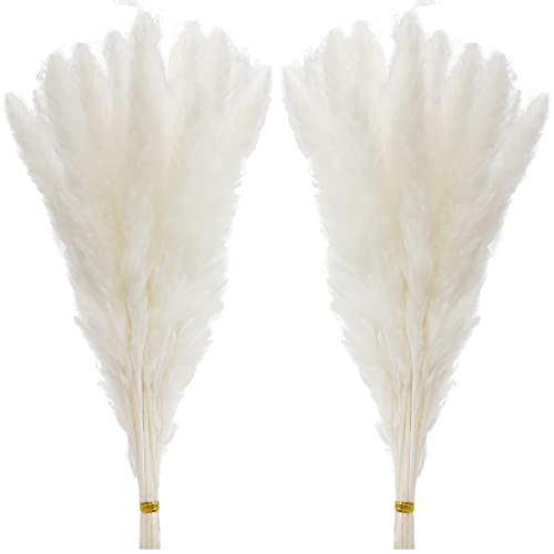 60 Pcs White Pampas Grass ,17 inch/45 cm Natural Dried Pampas Grass Branches Decor for Home Kitchen Garden Party Photographing Flower Arrangement Vase Decor（White - color: White-pro