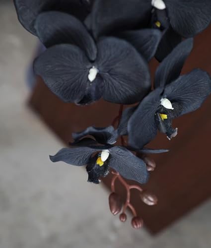 Corkwaw 3Pcs Artificial Fake Flowers Butterfly Orchid, Silk Plant Real Touch phalaenopsis is Used in Offices, Dining Table Centers, Weddings, Home Decoration (Black)