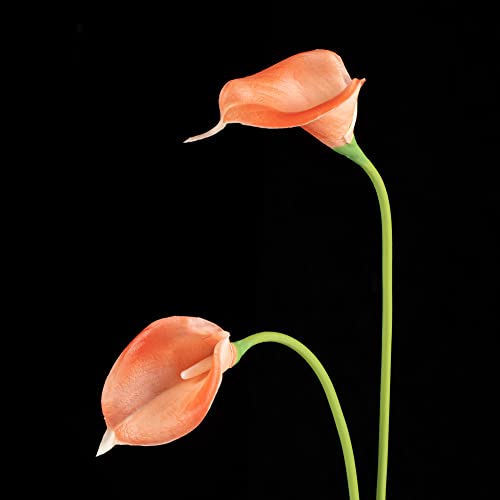 DuHouse 20Pcs Artificial Calla Lily Flower Real Touch Latex Flowers for DIY Wedding Bouquet Party Home Decor (Coral) - color: Coral, size: 20pcs