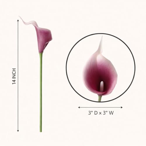 Floral Kingdom Artificial Calla Lily Flowers, 20 Pack, 14 Inch, Mauve White, Real Touch Latex - Wedding Centerpieces, DIY Floral Arrangements, Home Decor - color: Mauve White