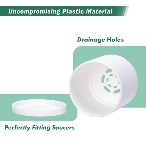 D'vine Dev 12 Pack 3 Inch Mini Plastic Plant Pots, Small Garden Planters for Plant with Drainage Holes and Saucers, White Color, 74-Z-C-4 - size: 3"