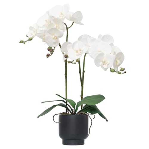 CXGS Orchids Artificial Flowers Real Touch Fake Flowers in Ceramic Pot 20" White Faux Orchid Plant Lifelike Silk Phalaenopsis for Centerpiece Hotel Home Indoor Decor - color: White- Black Vase