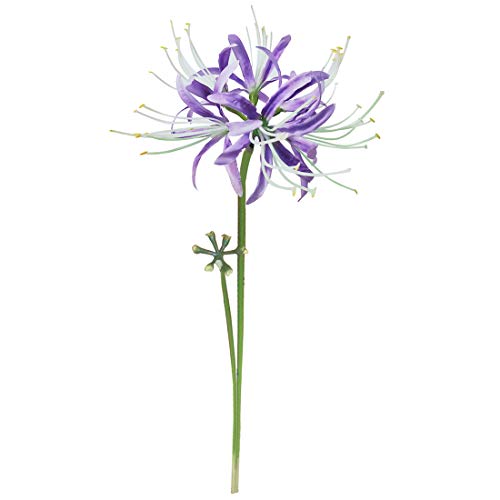6 Stems 26.38 Inch Artificial Lycoris Radiata Spider Lily Flowers for Home Garden Decoration (Purple) - color: Purple