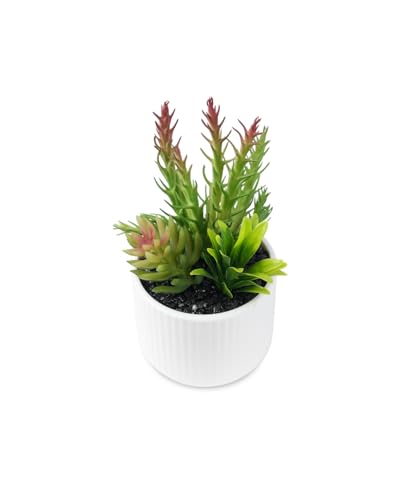 Faux Assorted Succulents - Artificial Succulent Plants for Desk, Bathroom, Shelf, or Home Decor, Realistic Greenery for Farmhouse, Office & Kitchen Decoration PA-018 - size: PA-018
