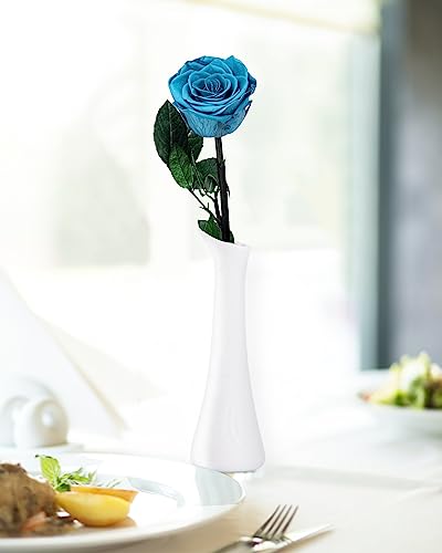 Loyal Blue Flowers for Delivery Prime, Preserved Blue Roses Flower Gifts for Women, Real Roses Single Rose Gifts for Her, Mom Birthday Gifts from Daughter, Valentines Flowers - color: 07-loyal Blue