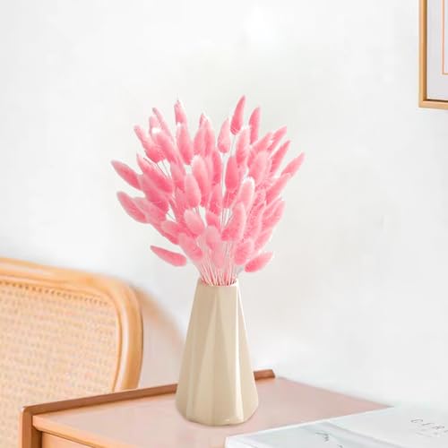 60PCS Rabbit Tail Grass Dried Flowers Dried Natural Floral Arrangement Bunch Decoration Dried Grass,Eternal Flower Dried Grass for Home,Wedding,Party,Flower Bouquet,Photo Props Decor (Pink)