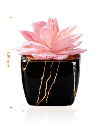 Taybonds Artificial Succulent in 2PCS Black Ceramic Pot, Small Fake Succulents Plants for Office and Desk Decor,Bathroom, Bedroom, Shelves, Vanity for Women - color: Black