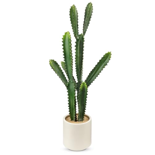 DILATATA 32.5" Tall Fake Cactus Plant Decorative Potted 'Euphorbia Accruensis' - Large Artificial Cactus for Home, Garden, Office Decor - Housewarming Gifts - color: White Pot Ea