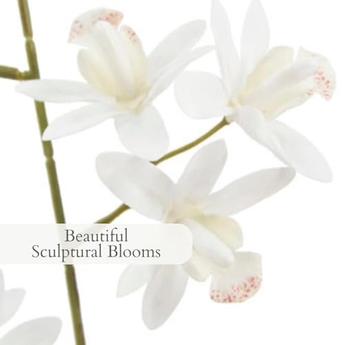 CG Hunter Faux Vanda Orchid Plant, Premium Artificial Indoor Flower Display Stands 26”, Beautiful Sculptural Blooms that Lasts Forever, White Planter Pot Included - size: 26" Vanda Orchid