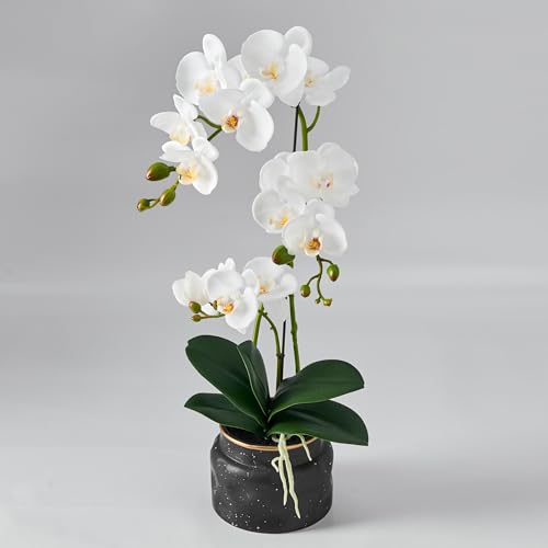 Avoeco Artificial Real Touch Orchid Plant – 20″ Faux Phalaenopsis in Pot – Highly Realistic Silk Orchid Flower & Leaf Texture for Home, Office,Shop & Wedding Décor (1 White, 20”) - color: 1 White, size: 20”
