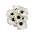 Rikyo 10 Stem 11" Bouquets Artificial Flowers Poppy Flowers,No Fade Faux Anemone Wild Flowers for Kitchen Table Centerpiece Vase,Home Greenery Wedding Holding Flowers Backdrop Arch Wall(White) - color: White