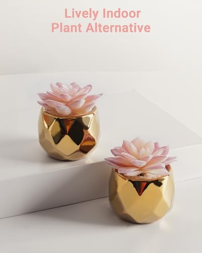 VIVERIE Mini Succulents Plants Artificial in Pots-Pink with Golden Ceramic, Christmas Small Fake Succulents Plants for Home Decor Indoor for Women, Set of 2, Gifts for Mom - color: Golden-2 Pack