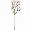 10 Pcs Faux Haworthia Minima Bouquet - Minimalist Fresh Style Plastic Artificial Flowers, Home Office Wedding Party Decor, Garden Tabletop Ornament Small Presents(Brown)