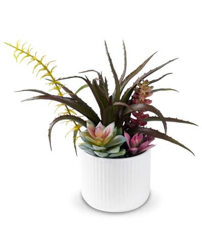 Faux Assorted Succulents - Artificial Succulent Plants for Desk, Bathroom, Shelf, or Home Decor, Realistic Greenery for Farmhouse, Office & Kitchen Decoration PA-015 - size: PA-015