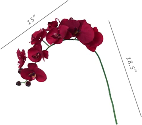 Larksilk 33.5" Premium Silk Phalaenopsis Orchid Stem - Stunningly Realistic & Long-Lasting Artificial Flowers - Ideal for Home Decor, Events, Weddings - Elegant Touch for Arrangements and Centerpieces