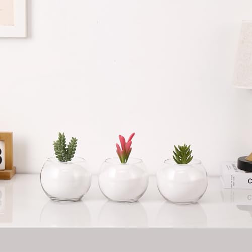 Clear Round Vases Set of 6, Flower Vases for Centerpieces, Glass Vase for Flowers, Glass Bowl Vase for Living Room, Bedroom, Kitchen, Office, Wedding, 5'' W x 4'' H - color: Clear, size: 5”
