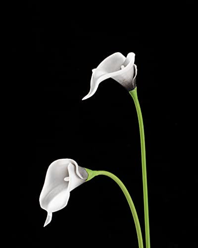 DuHouse 20Pcs Artificial Calla Lily Flower Real Touch Latex Flowers for DIY Wedding Bouquet Party Home Decor (Black White) - color: Black White, size: 20pcs