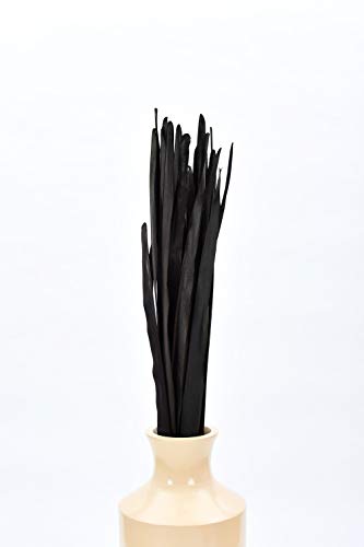 Leewadee Tall Vase Filler, Dried Palm Leaves – 2 Bunches of Colored Decor for Floor Vases, Naturally Dried Arrangements for Vintage Or Modern House Decor, 45 inches, Black Brown - color: Black Brown, style: Palm Leaf
