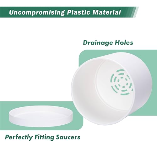 D'vine Dev 2 Pack 8 Inch Modern Plastic Plant Pots, Cylindrical Garden Planters for Plants with Drainage Holes and Saucers, White, 74-Z-M-1 - size: 8"