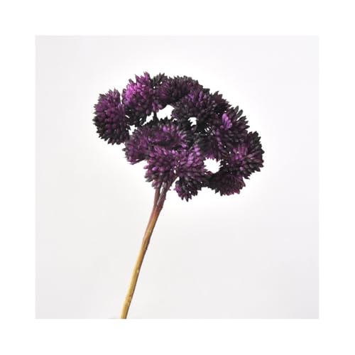 6PCS Artificial Succulent Flower, Plastic Plants Green Artificial Plants for Home Garden Decorations, Party Decorations, Bedroom Office Decorations, Wedding Decorations(Purple) - color: Purple, size: 6PCS
