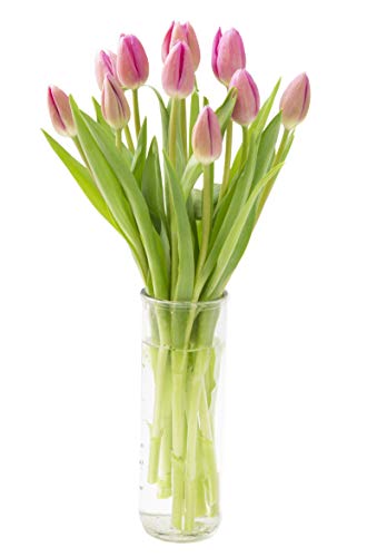 KaBloom - Bouquet of Fresh Pink Tulips with Vase - Fresh Flowers for Birthday, Valentine's & Mother's Day - color: Pink, size: 10, style: With Vase